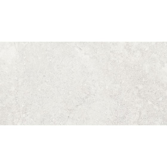 Abode White Natural Porcelain Wall Tile 300x600mm